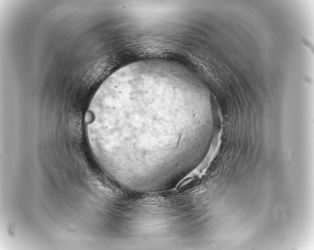 X0000093220642200710241217