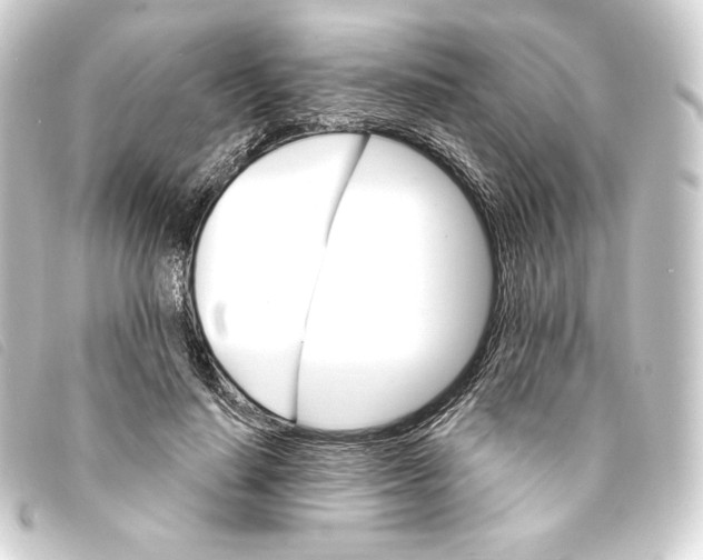 X0000093220644200710241217