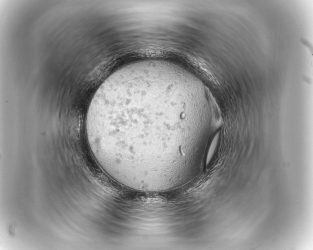 X0000093220645200710241217