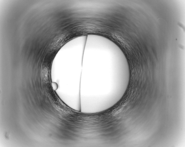 X0000093220646200710241217