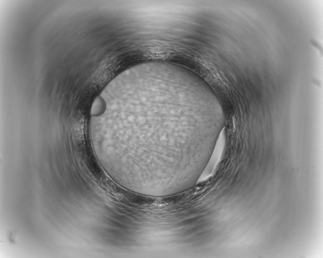 X0000093220647200710241217