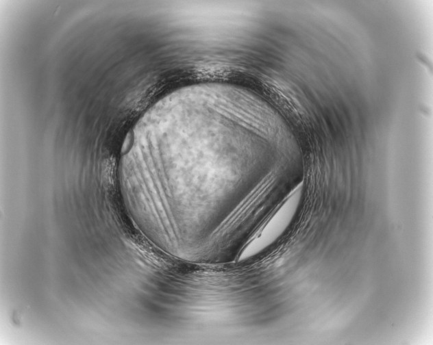 X0000093220649200710241217