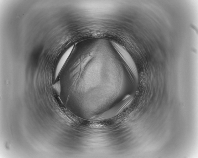 X0000093220650200710241217