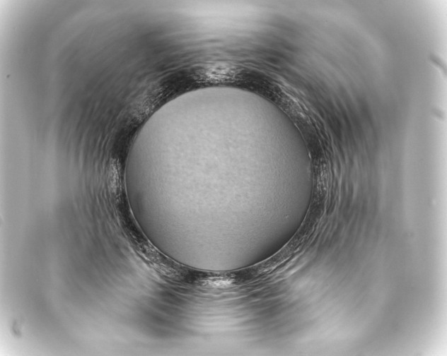 X0000093220651200710241217