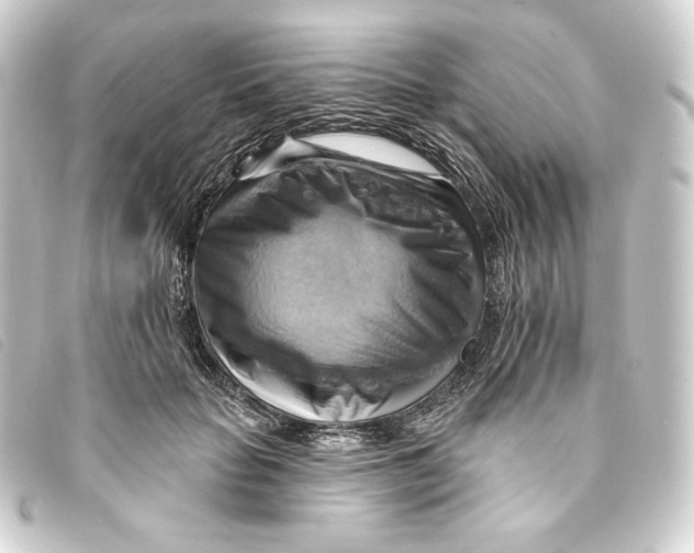 X0000093220653200710241217