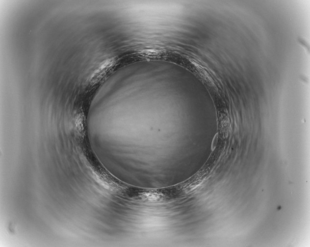 X0000093220654200710241217