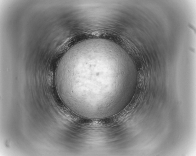 X0000093220656200710241217