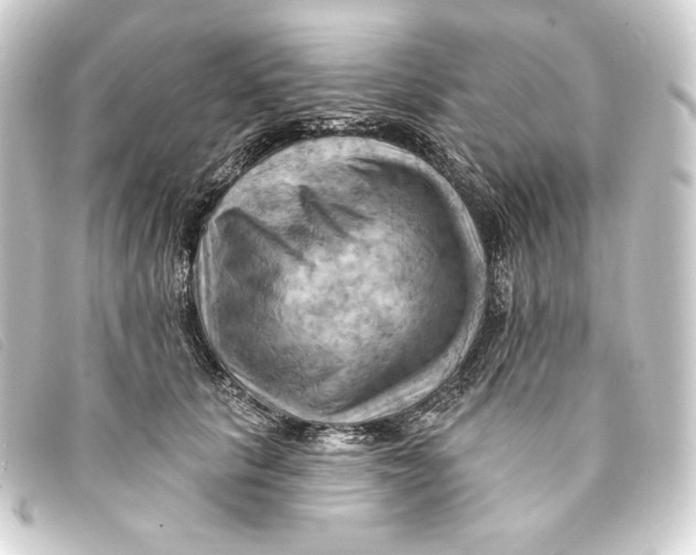 X0000093220657200710241217