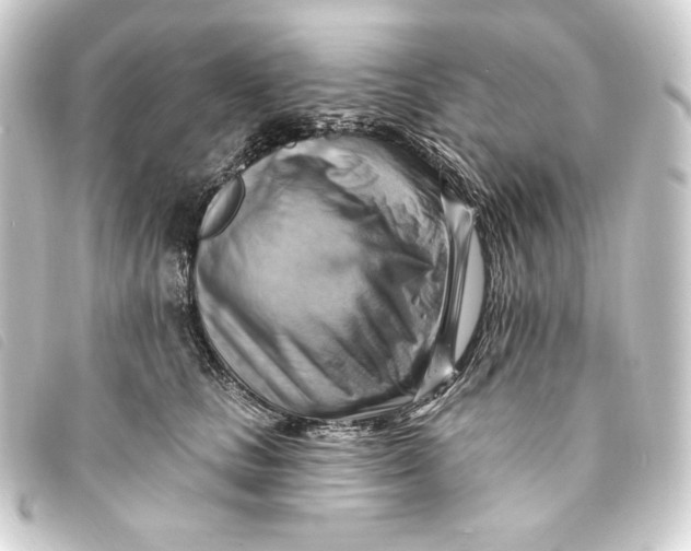 X0000093220661200710241217