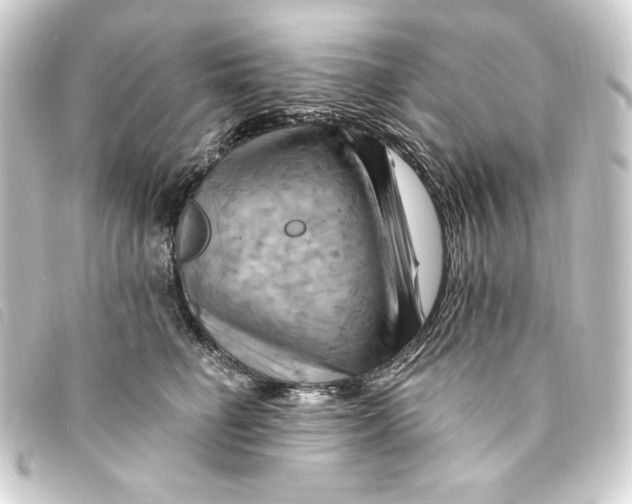 X0000093220662200710241217