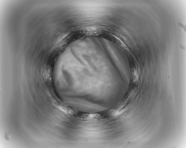 X0000093220663200710241217