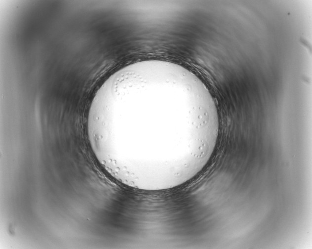 X0000093220665200710241217