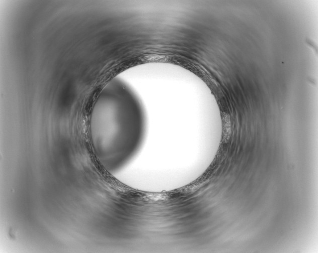 X0000093220667200710241217