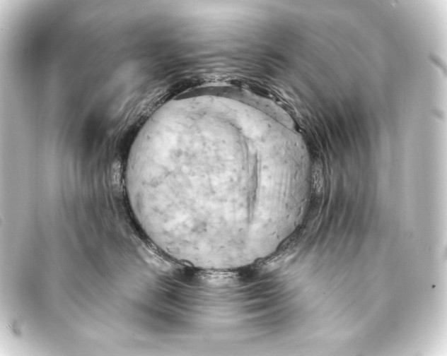 X0000093220670200710241217