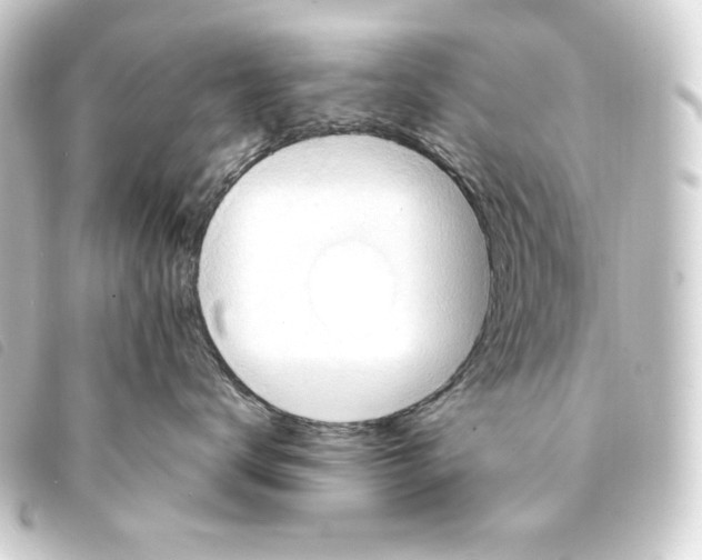 X0000093220672200710241217