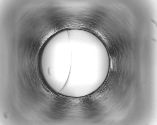 X0000093220675200710241217