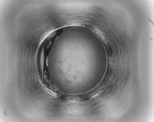 X0000093220676200710241217