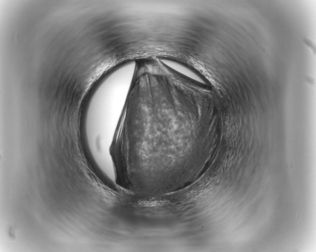 X0000093220679200710241217