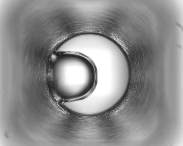 X0000093220681200710241217