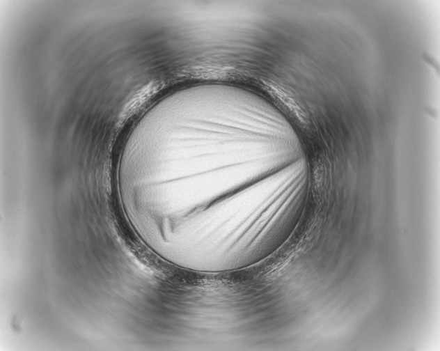 X0000093220682200710241217