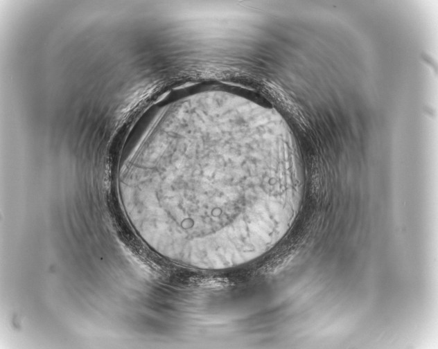 X0000093220683200710241217