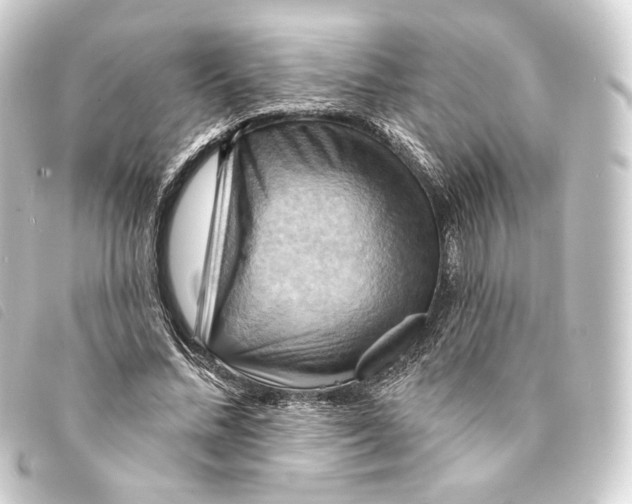 X0000093220684200710241217