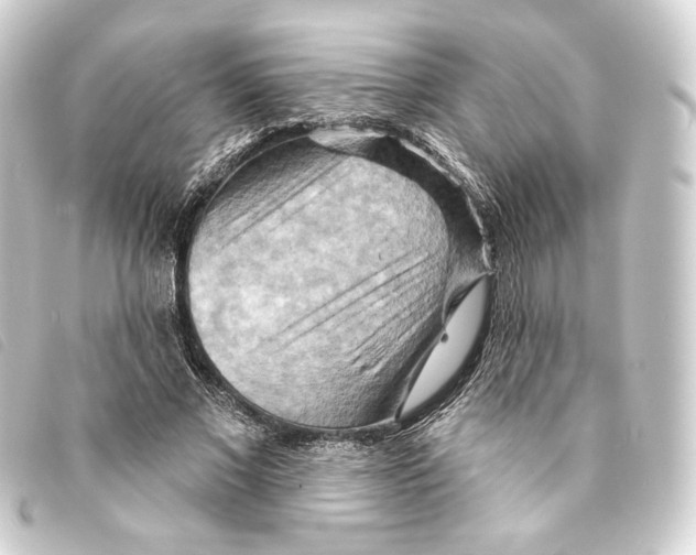 X0000093220685200710241217