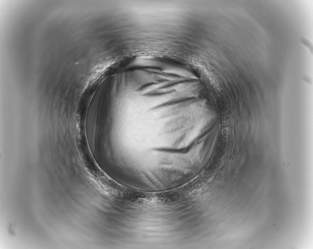 X0000093220688200710241217