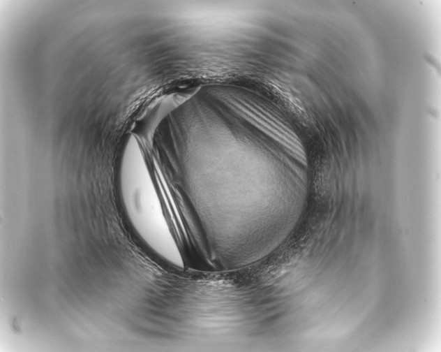 X0000093220689200710241217