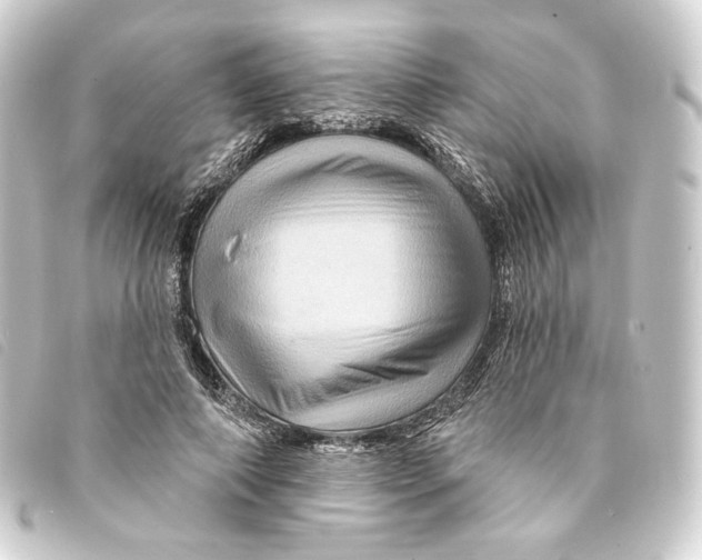 X0000093220690200710241217