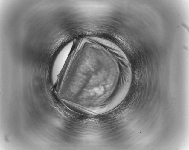 X0000093220691200710241217