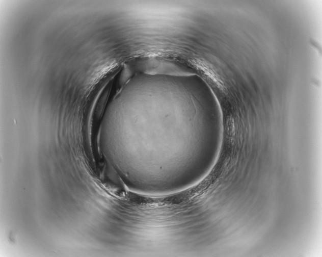 X0000093220692200710241217