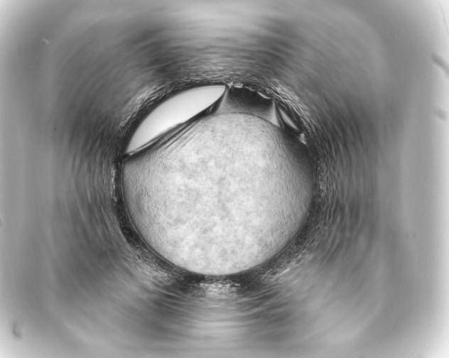 X0000093220693200710241217