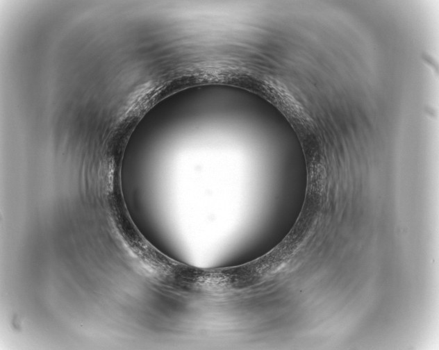 X0000093220694200710241217