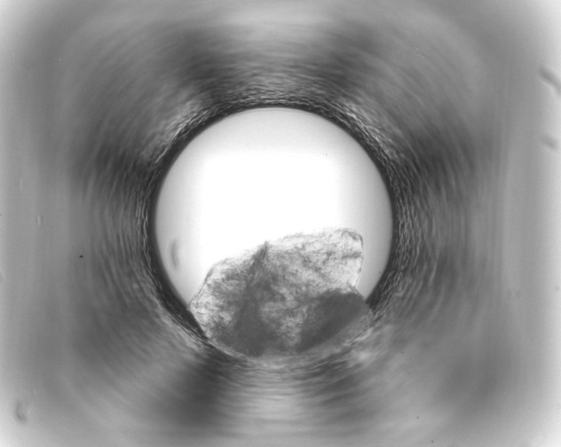 X0000093220695200710241217