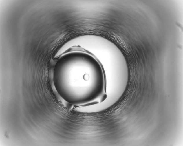 X0000093220697200710241217