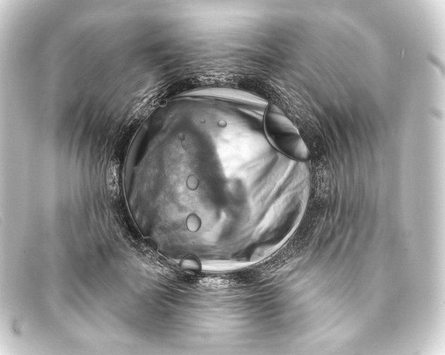 X0000093220699200710241217