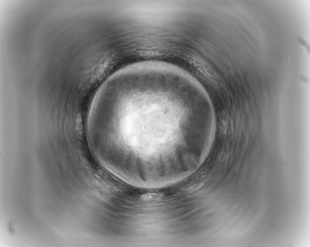 X0000093220700200710241217