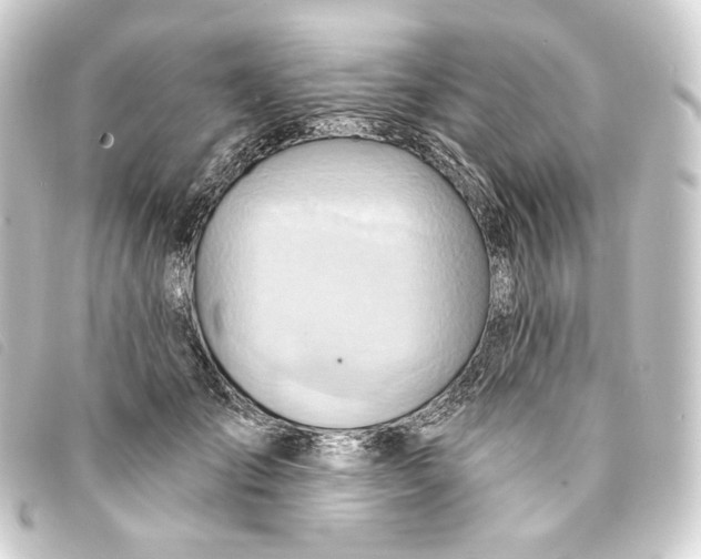 X0000093220701200710241217