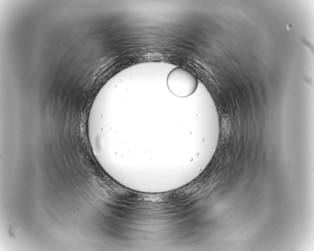 X0000093220702200710241217