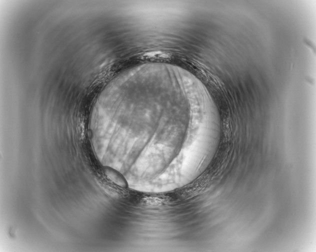 X0000093220703200710241217