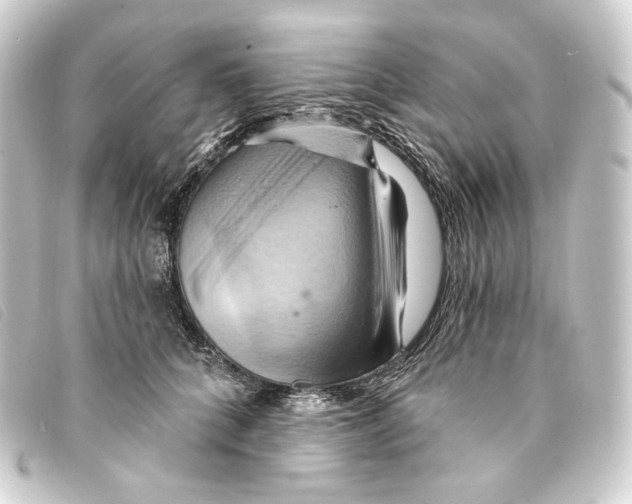 X0000093220704200710241217