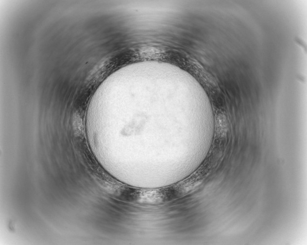 X0000093220705200710241217