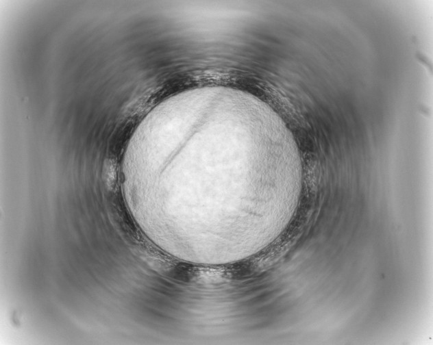 X0000093220709200710241216