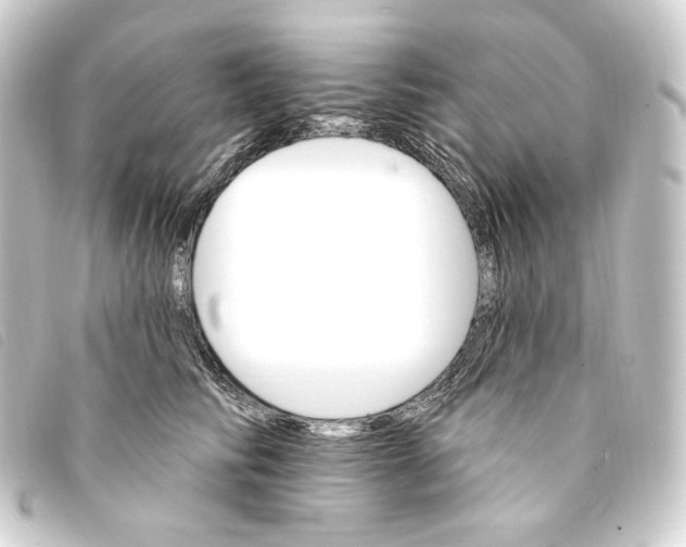 X0000093220710200710241216