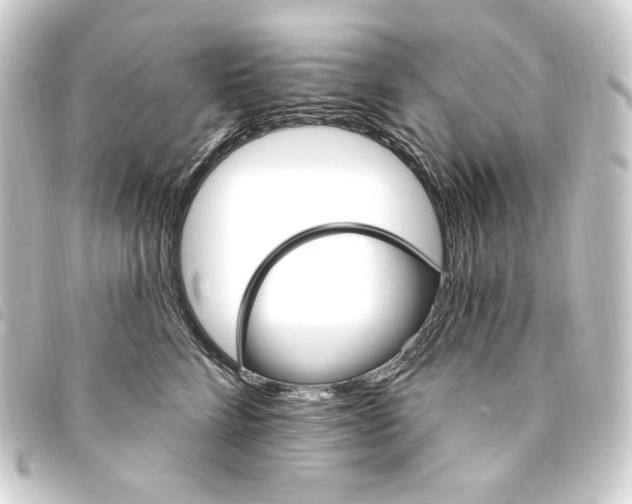 X0000093220712200710241216