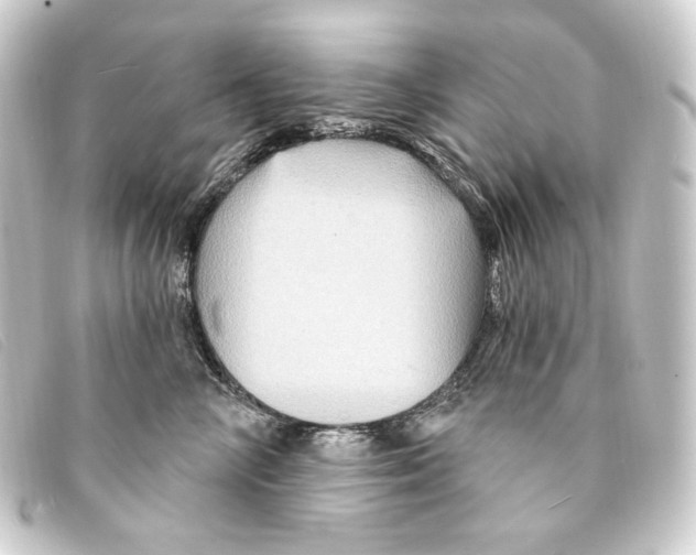 X0000093220714200710241216