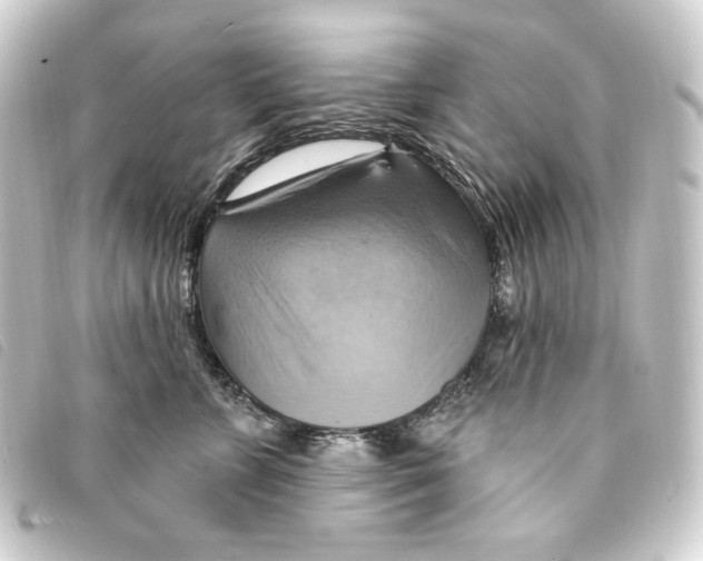 X0000093220715200710241216