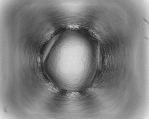 X0000093220716200710241216