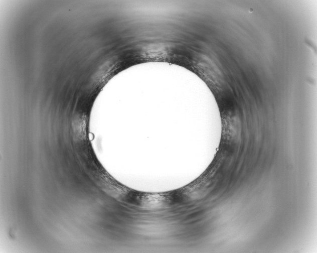 X0000093220717200710241216